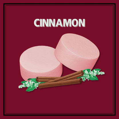 Altoids Cinnamon Mints, 1.76 Ounce (12 Packs)